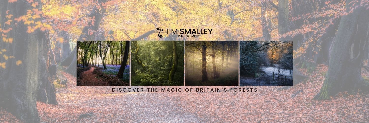 header profile