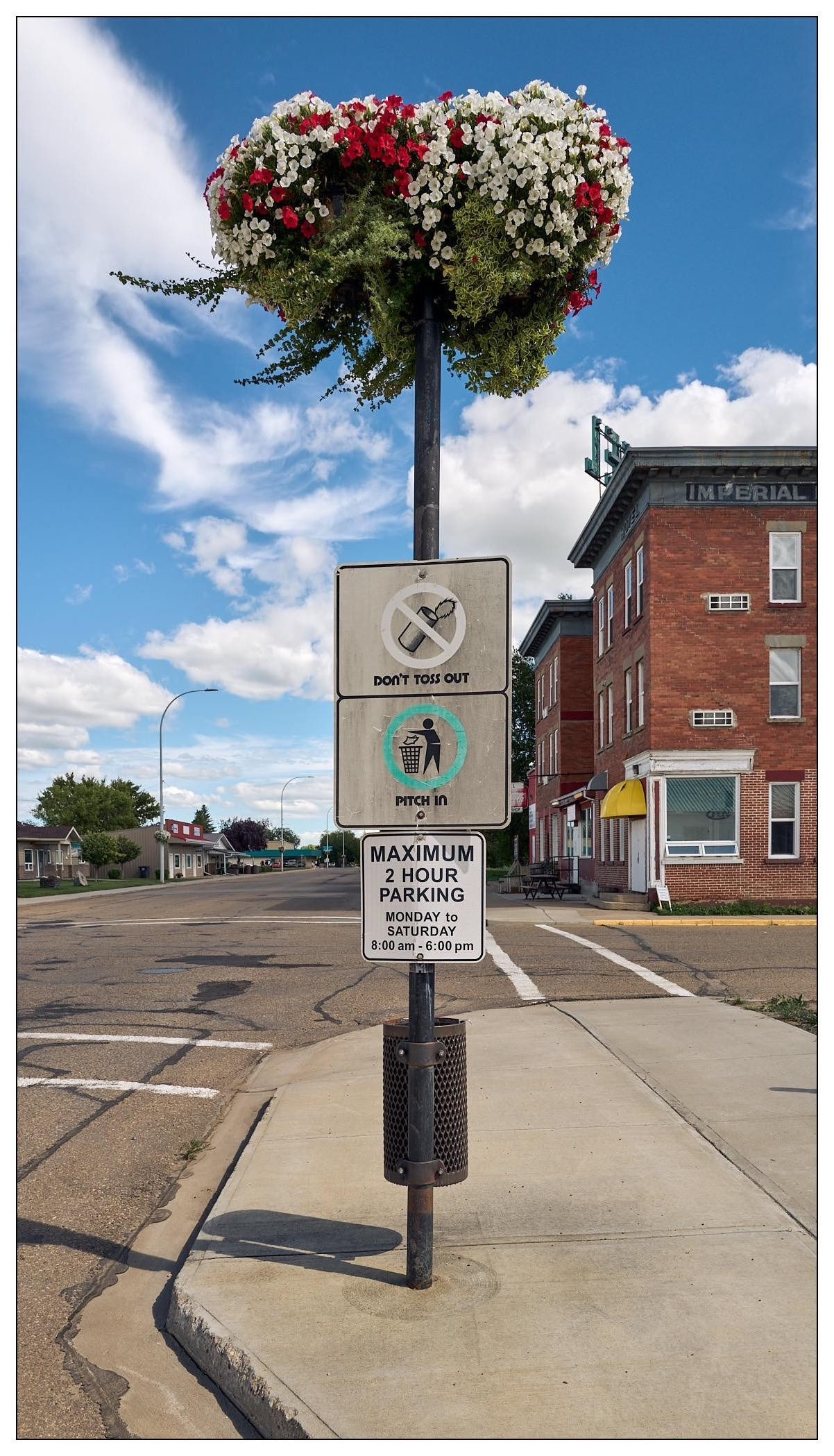 Vertical street sign pole with two attached signs against a backdrop of a blue sky with a few clouds, an old red brick building, and a street. The top sign features a decorative basket filled with red and white flowers, while the lower signs, stacked vertically, include a no littering sign ("Don't Toss Out") and a parking restriction sign ("Maximum 2 Hour Parking Monday to Saturday 8:00 am - 6:00 pm"). The scene captures everyday street life with clear road markings visible on the surface.