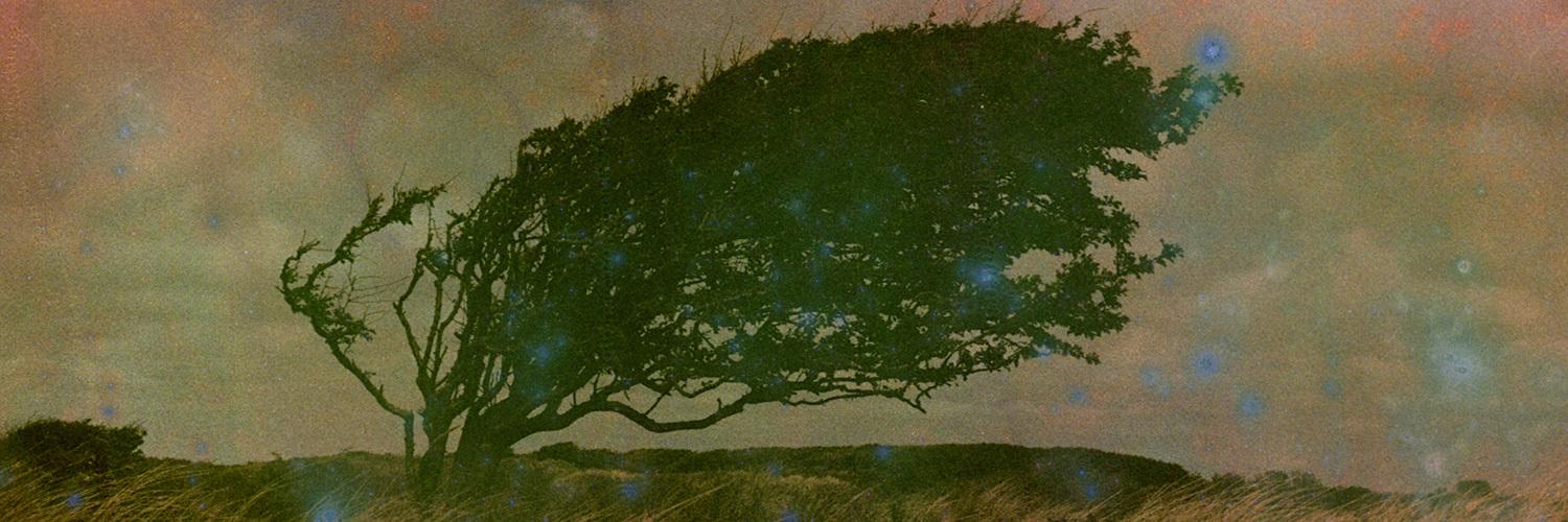 header profile