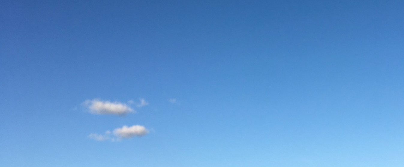 header profile