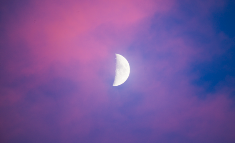 header profile