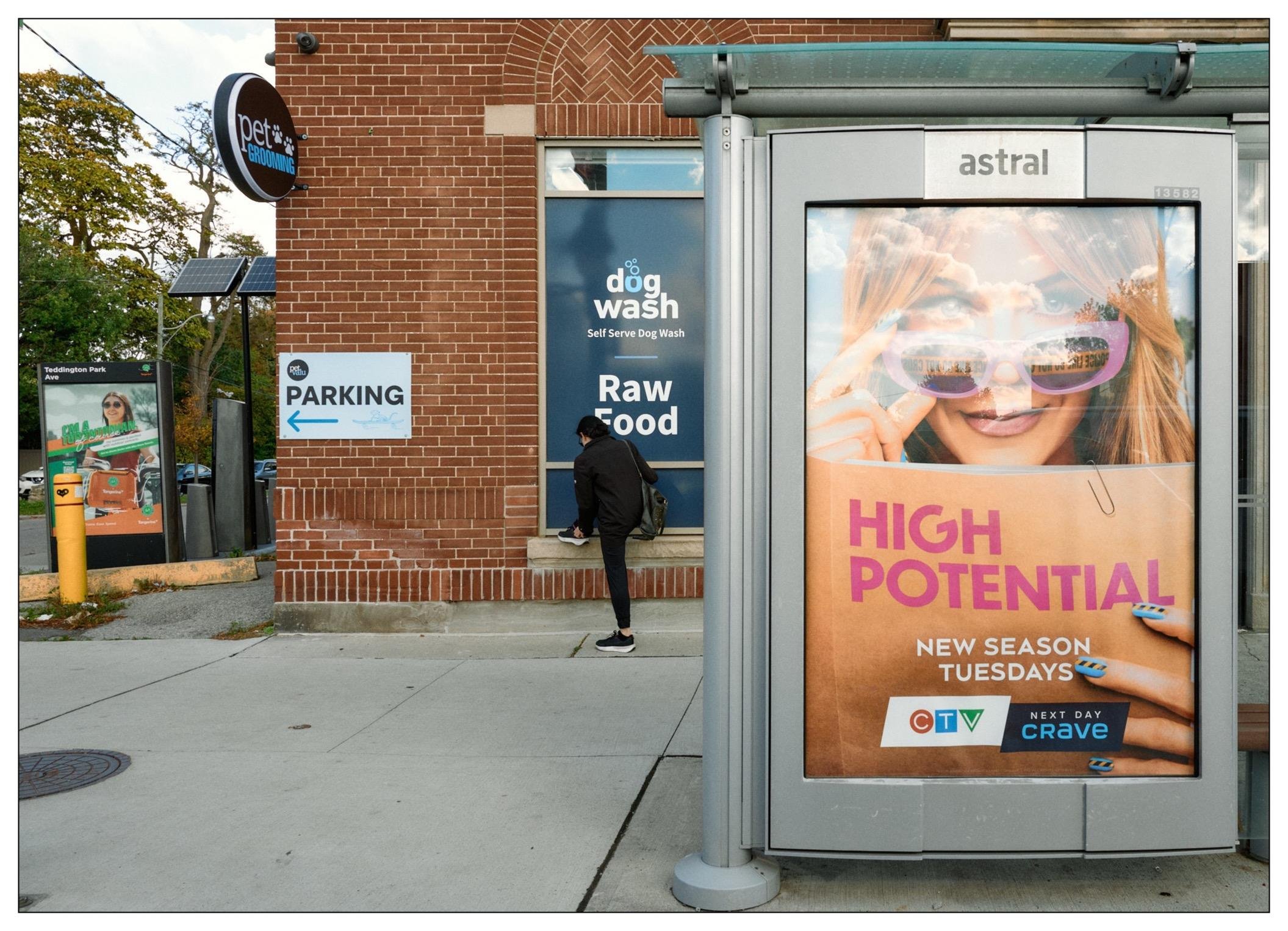 Outdoor scene featuring an urban corner with brick buildings, a person waiting outside, multiple advertisements, and a bus stop shelter displaying a large poster of a woman wearing sunglasses. Signs include directions for pet store services like a dog wash and raw food, with some vehicle parking information.