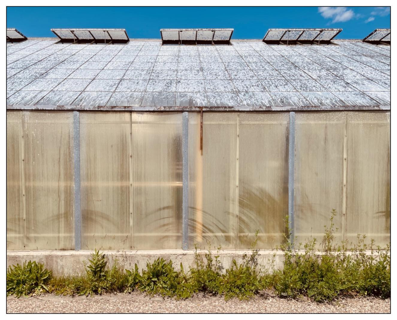 A weathered greenhouse with a faded, stained glass facade and a peaked roof covered in reflective material under a clear sky. The roof features three open vents. Small green weeds grow along the building's base on a gravel surface.